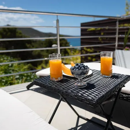 Entire Private Floor With Own Pool And Entrance *